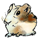 Guinea pig illustration